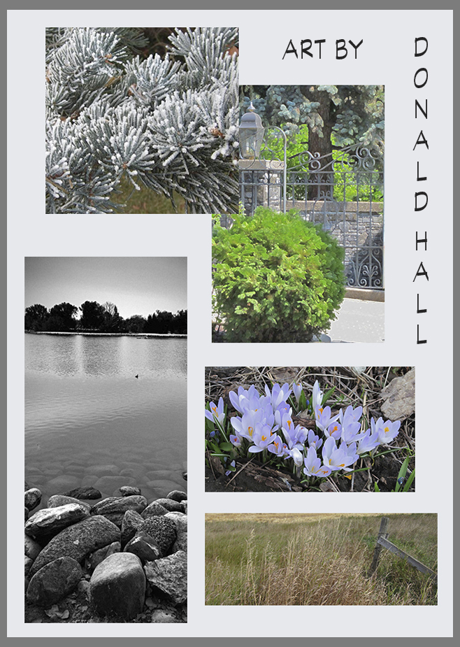 2 Montage of Dons Art for Gingezel website copy